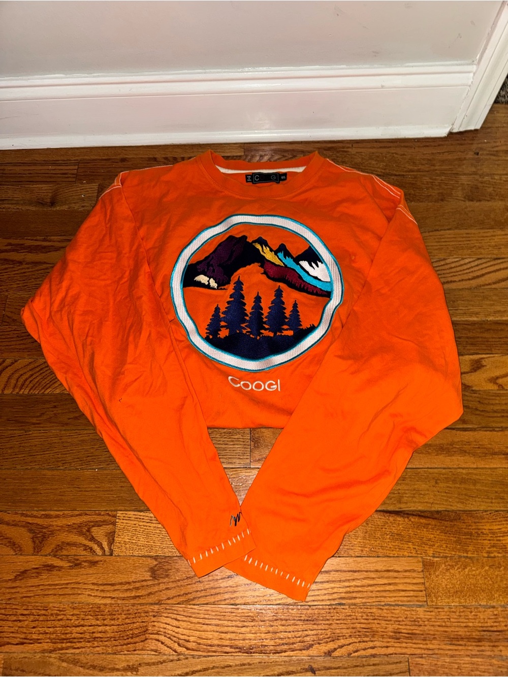 COOGI Orange Long Sleeve Mountain Graphic Tee